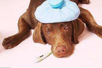 NS主机发布固件更新 修复20.0.0版导致的变砖问题